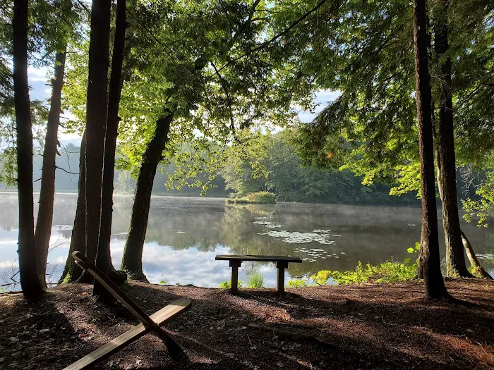 Girl Scout Camp Woodhaven Picture 3