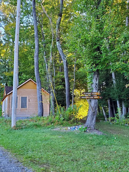 Girl Scout Camp Woodhaven Picture 7
