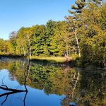 Girl Scout Camp Woodhaven