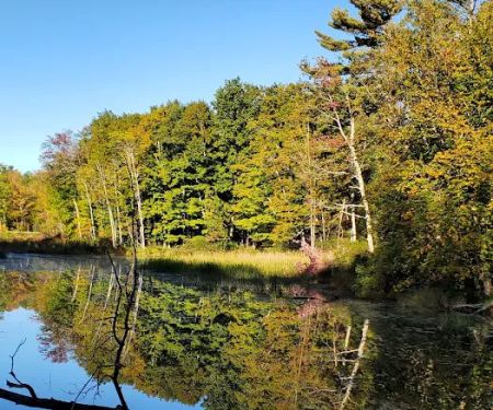Girl Scout Camp Woodhaven