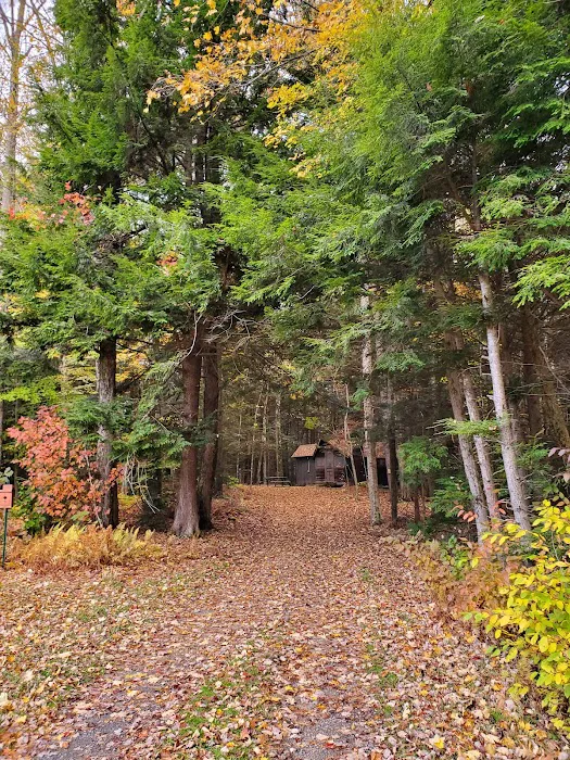 Girl Scout Camp Woodhaven Picture 2