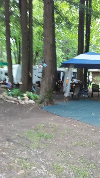 Birch Haven Campground LLC Picture 4