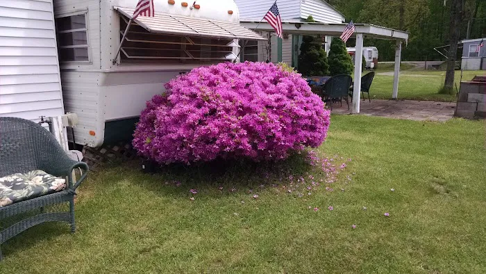 Silver Maple Trailer PARK Picture 8