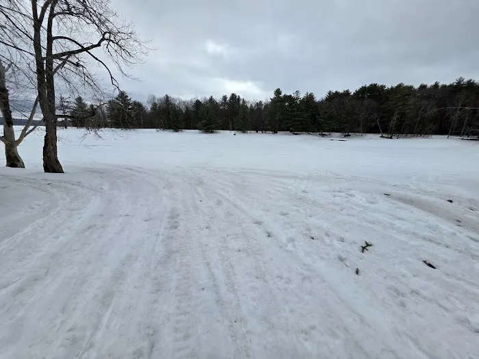 Northampton Beach Campground Picture 6