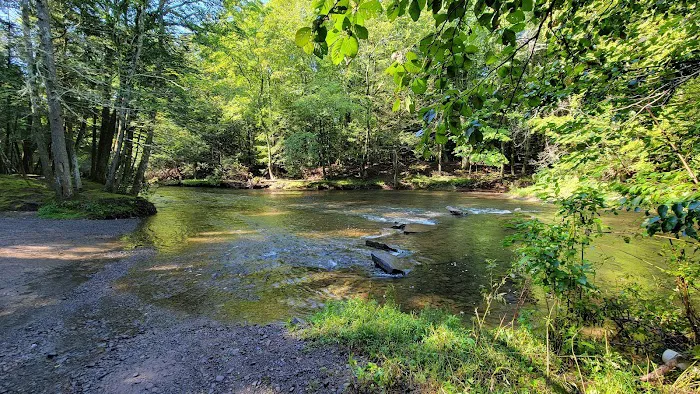 Rip Van Winkle Campgrounds Inc Picture 4
