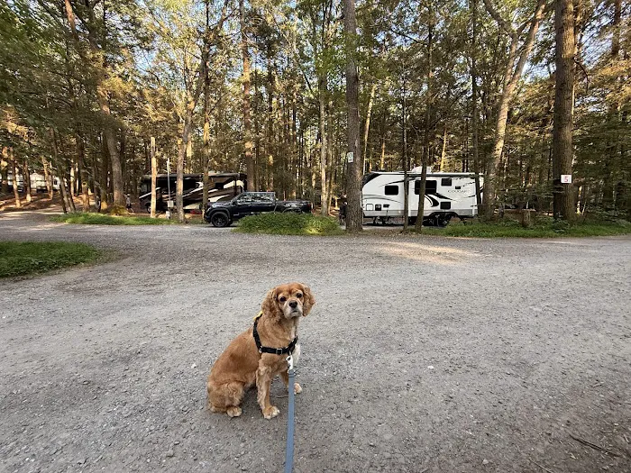 Rip Van Winkle Campgrounds Inc Picture 9