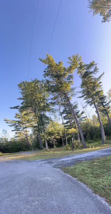 Thompson's Lake Campground Picture 6