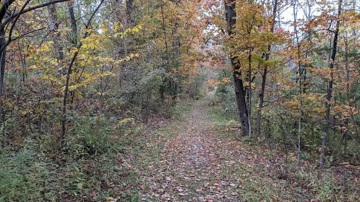 Thompson's Lake Campground Picture 8