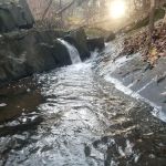 Dutcher Mobile Home Park