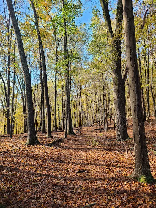 Winding Hills Park Picture 5