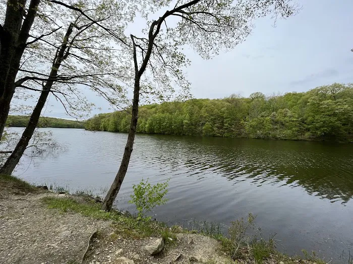 Winding Hills Park Picture 6