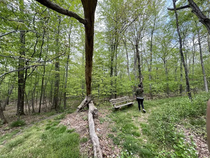 Winding Hills Park Picture 9