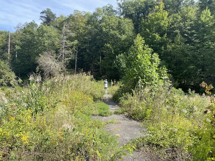 Fahnestock State Park Campground Picture 8