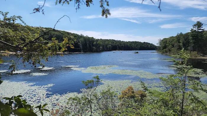 Fahnestock State Park Campground Picture 3