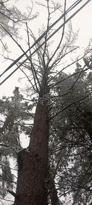 White Pines MHC Picture 4