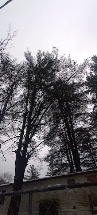White Pines MHC Picture 10