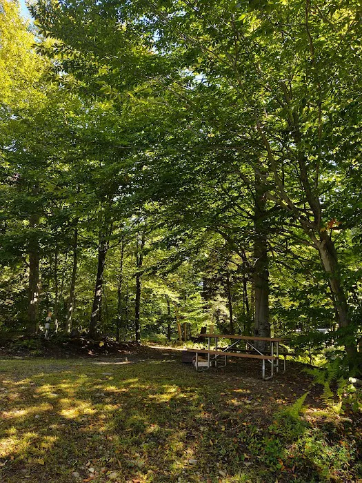 Autumn Moon Campground Picture 6