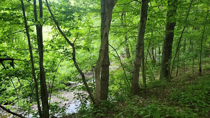 Brook n Wood Family Campground Picture 7