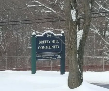 Breezy Hills
