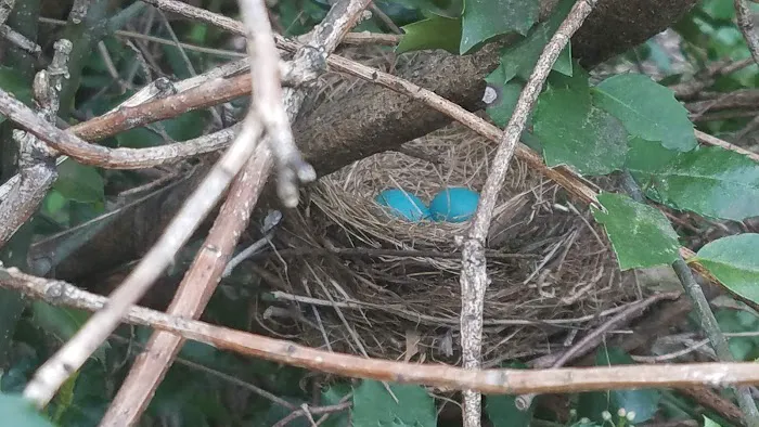 Hidden Brook Estates Picture 2