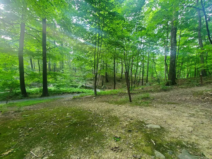 Samuel F. Pryor III Shawangunk Gateway Campground Picture 8