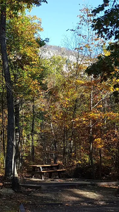 Samuel F. Pryor III Shawangunk Gateway Campground Picture 6
