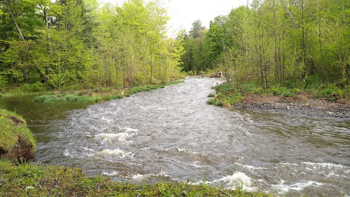 Thousand Trails Rondout Valley Picture 10