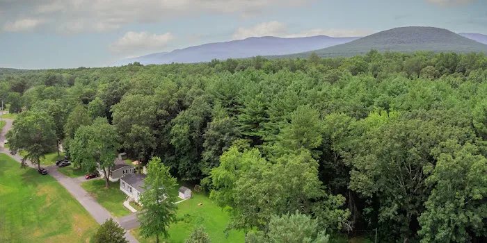 Catskill Pond Picture 5