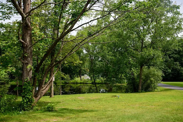 Catskill Pond Picture 10