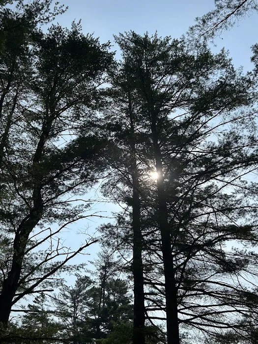 Whispering Pines Campsites & RV Park Picture 1