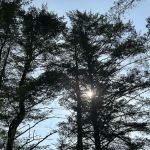 Whispering Pines Campsites & RV Park