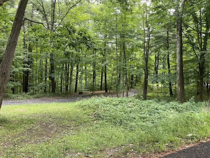 Lake Taghkanic State Park Campground Picture 10