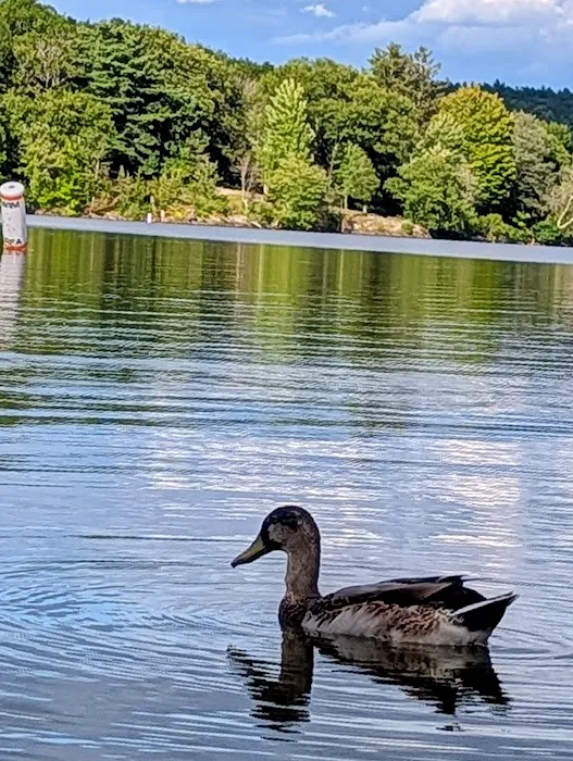 Lake Taghkanic State Park Campground Picture 9