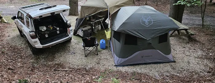 Fox Hill Camping Area Picture 9