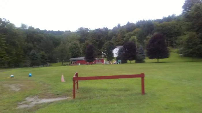 Dingman's Family Campgrounds Picture 4