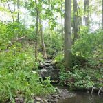 Manor Hill Mobile Home Park