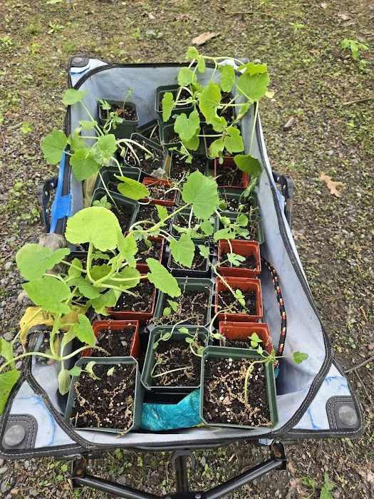 Liberation Farm Picture 2