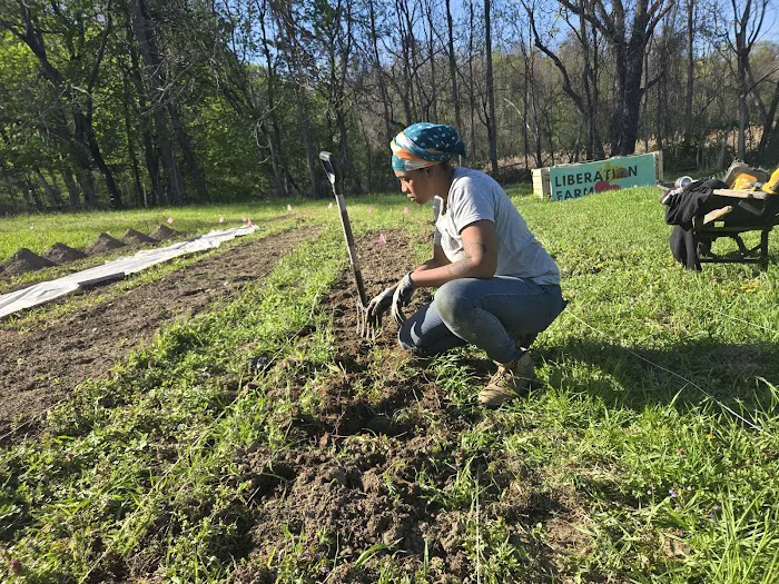 Liberation Farm Picture 10