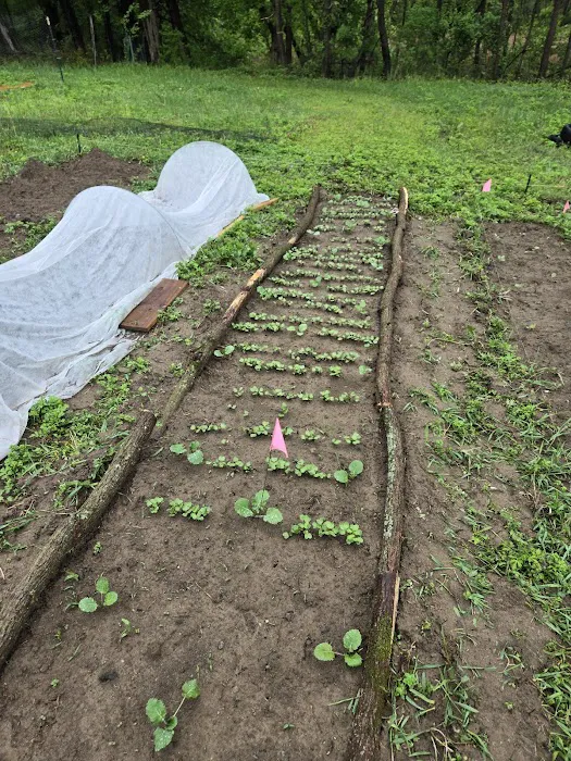 Liberation Farm Picture 7