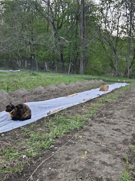 Liberation Farm Picture 8