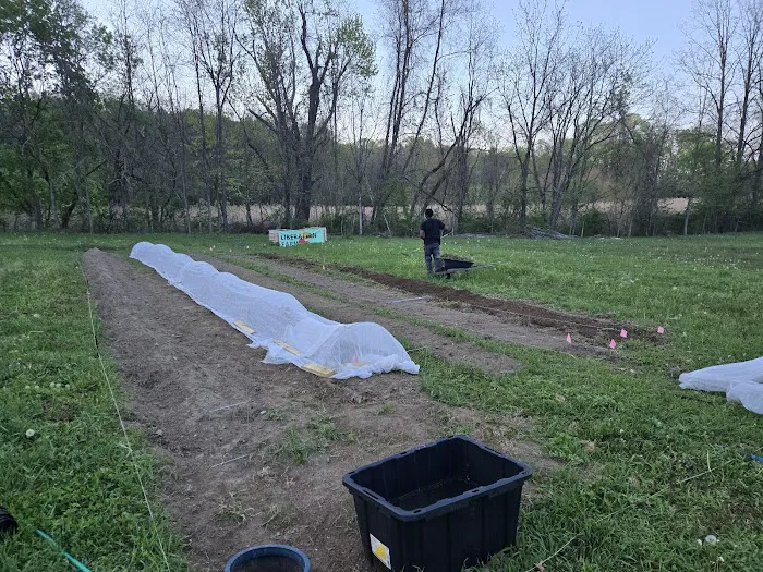 Liberation Farm Picture 5