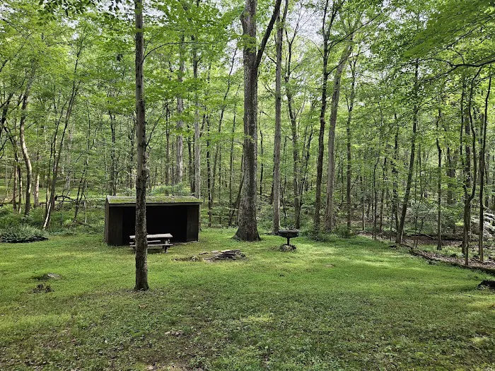 Balsam Site Picture 1