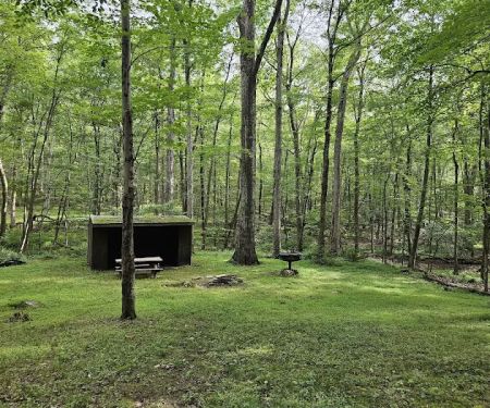 Balsam Site