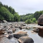 Stysh's Brown Barn Campgrounds