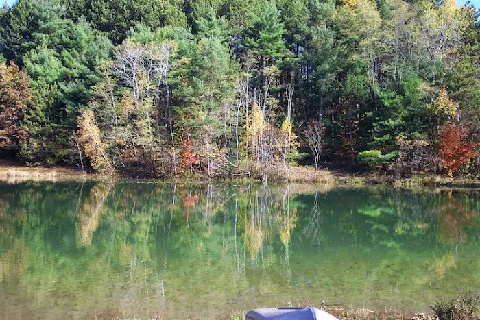 Rustic Barn Campground Picture 4