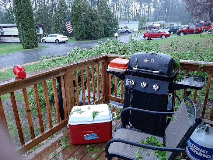 Pyramid Pines Mobile Home Park Picture 8