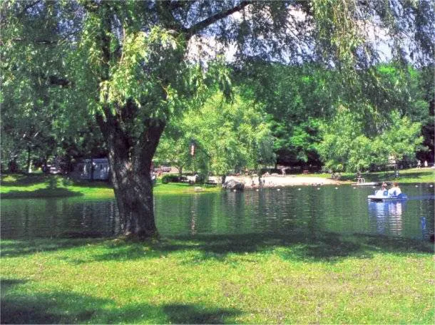 Spacious Skies Campgrounds - Woodland Hills Picture 10