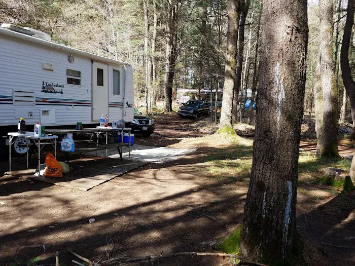 Cold Brook Campsites Picture 4