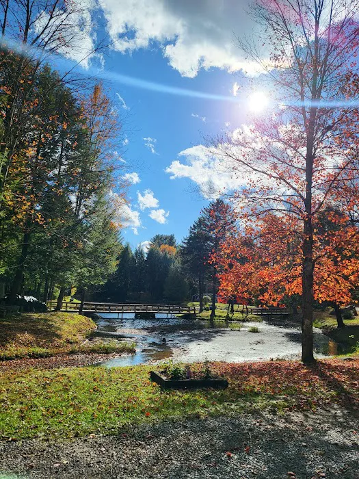 Cold Brook Campsites Picture 6