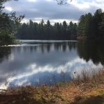 Moose River Park LLC